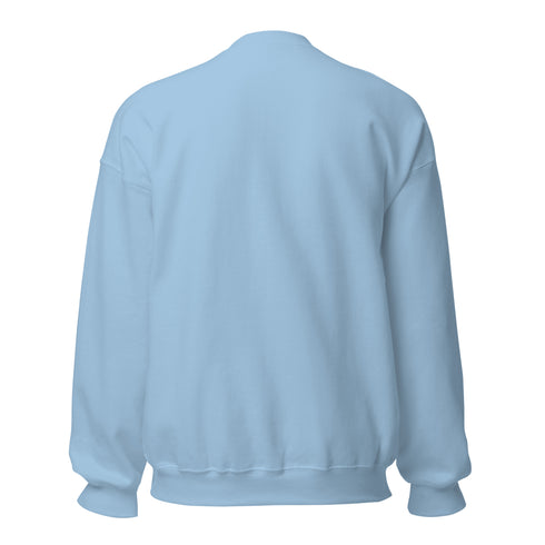 St. Bernard Witchy Dog Sweatshirt